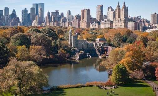 What to Do in New York in February? visiting Central Park