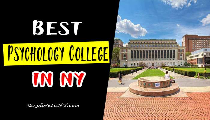 Best Colleges In New York For Psychology