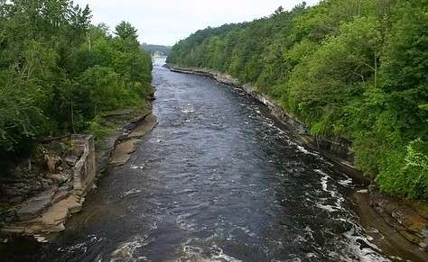 Black River is one of most popular place for Salmon Fishing