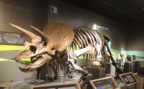 fun things to do in buffalo, ny today: visiting Buffalo Museum of Science