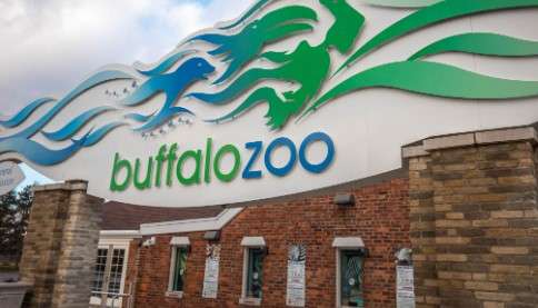 Buffalo Zoo- best zoos in ny