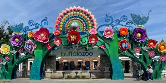 What to Do in Buffalo New York: visiting Buffalo Zoo