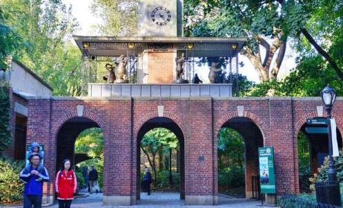 Central Park Zoo- best zoos in new york city