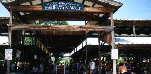 free things to do in ithaca, ny: visiting Ithaca Farmers Market