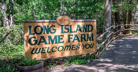 Long Island Game Farm