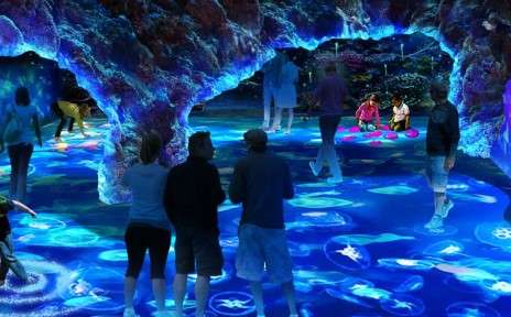 things to do in nyc with teens: exploring National Geographic Encounter
