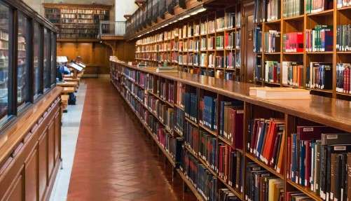 What To Do In Manhattan New York: visit New York Public Library