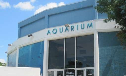 things to do in niagara falls, ny for couples travel Niagara Falls Aquarium