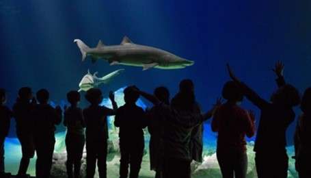 Queens Zoo- Finest Aquariums in New York