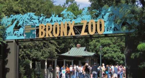 The Bronx Zoo is the Best Zoos in New York