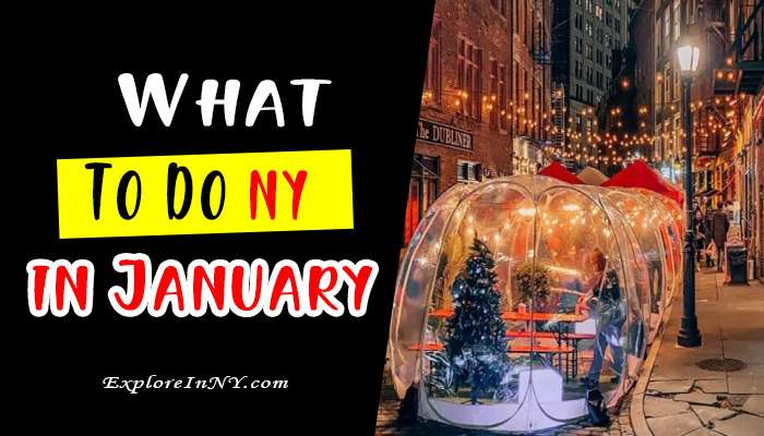 What to Do in New York in January