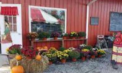 Windy Hill Orchard- popular Farms to Visit Upstate New York