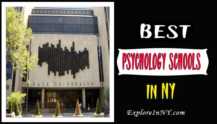 best psychology schools in new york