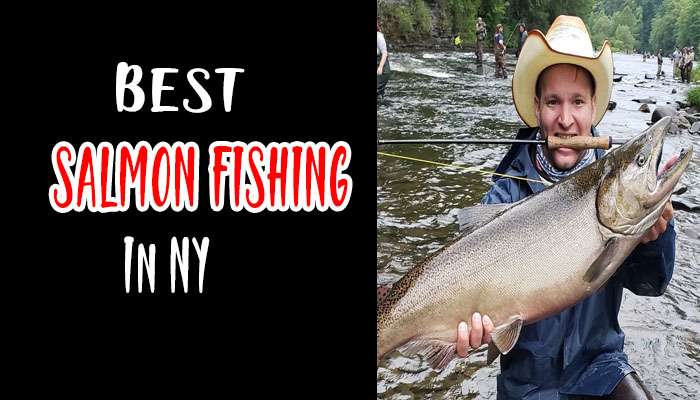 best salmon fishing in new york