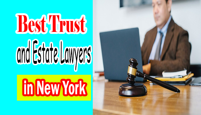 Best Trust and Estate Lawyers in New York