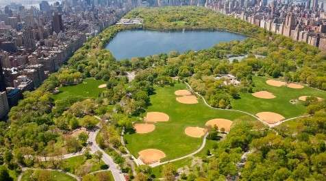 Central Park - new york gift experiences