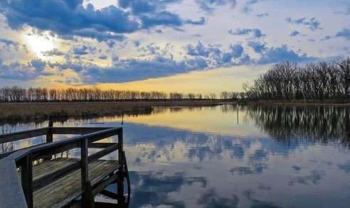 Free Things To Do In Buffalo NY- Tifft Nature Preserve
