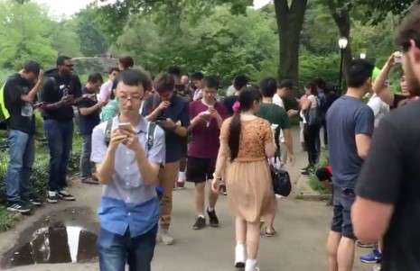 Central Park- Best Places to Play Pokemon Go in New York