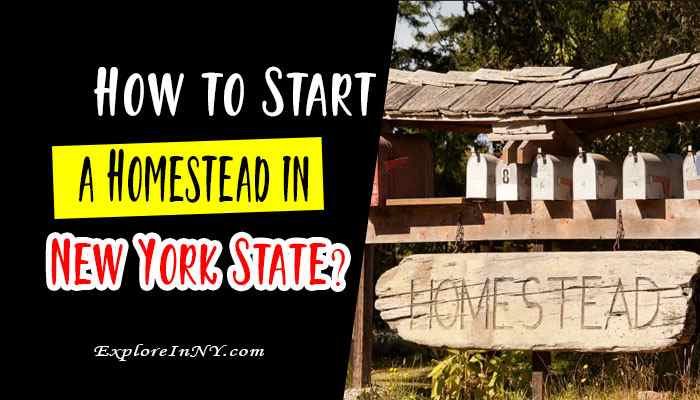 How to Start a Homestead in New York State?